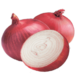Pink Onion - BT Exports